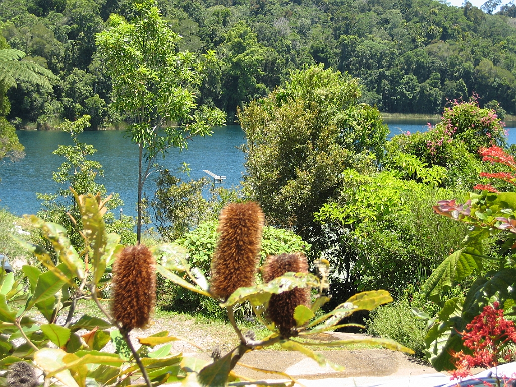 025 Lake Barrine.jpg